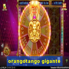 orangotango gigante